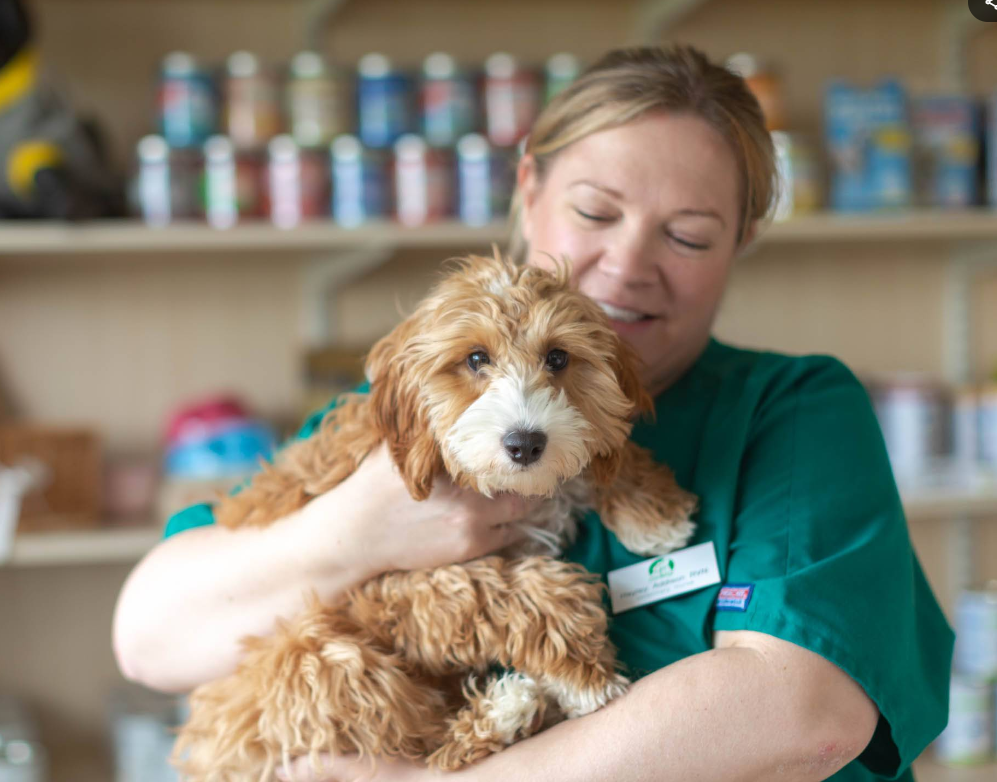 Wood Street Veterinary Hospital - Image 2