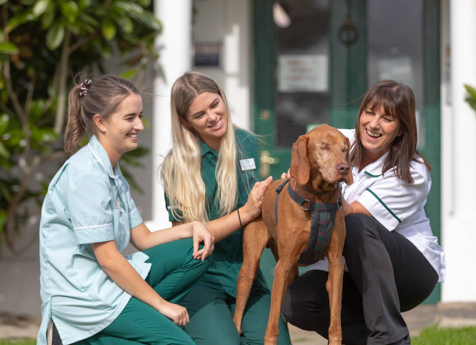 Wood Street Veterinary Hospital - Image 3