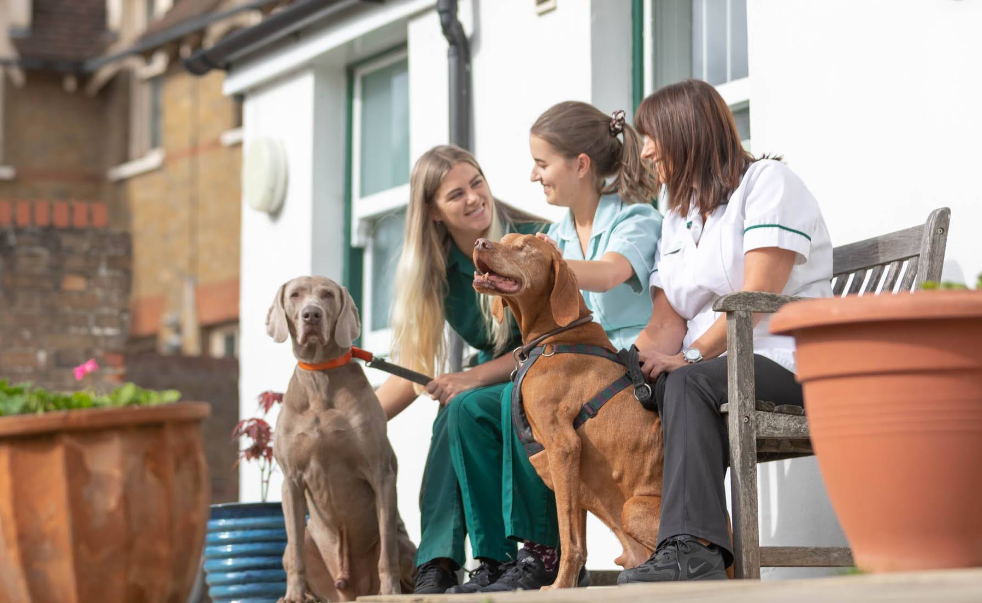 Wood Street Veterinary Hospital - Image 4