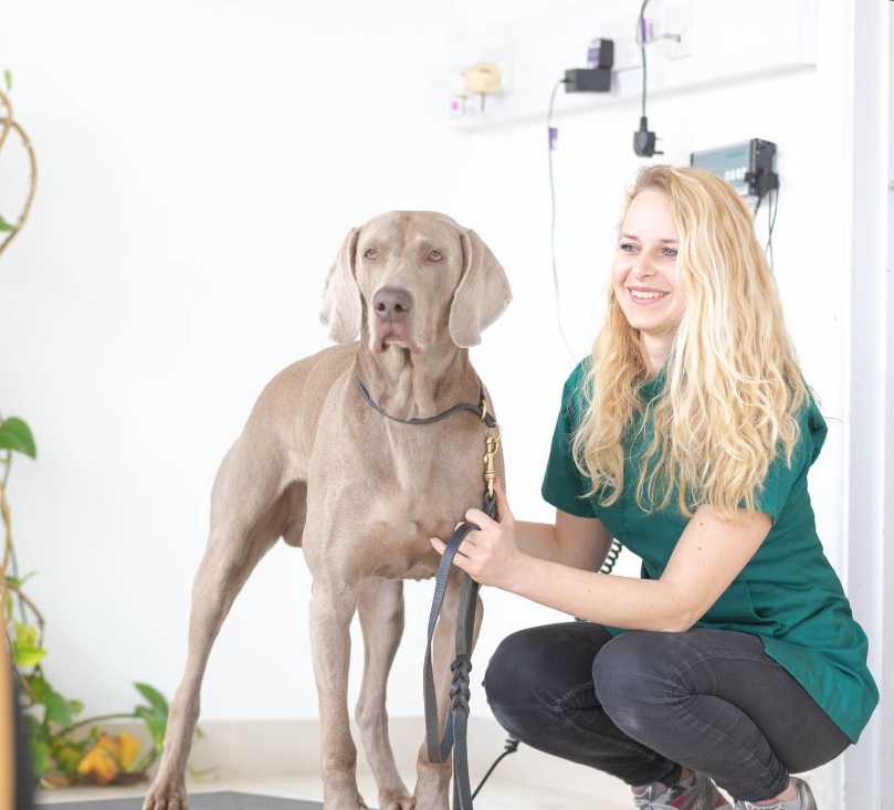 Wood Street Veterinary Hospital - Image 5