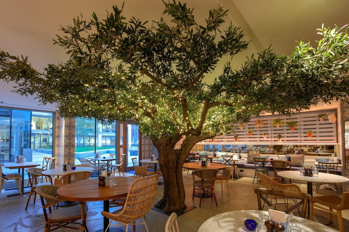 Megan's Clapham Old Town Restaurant (Clapham)