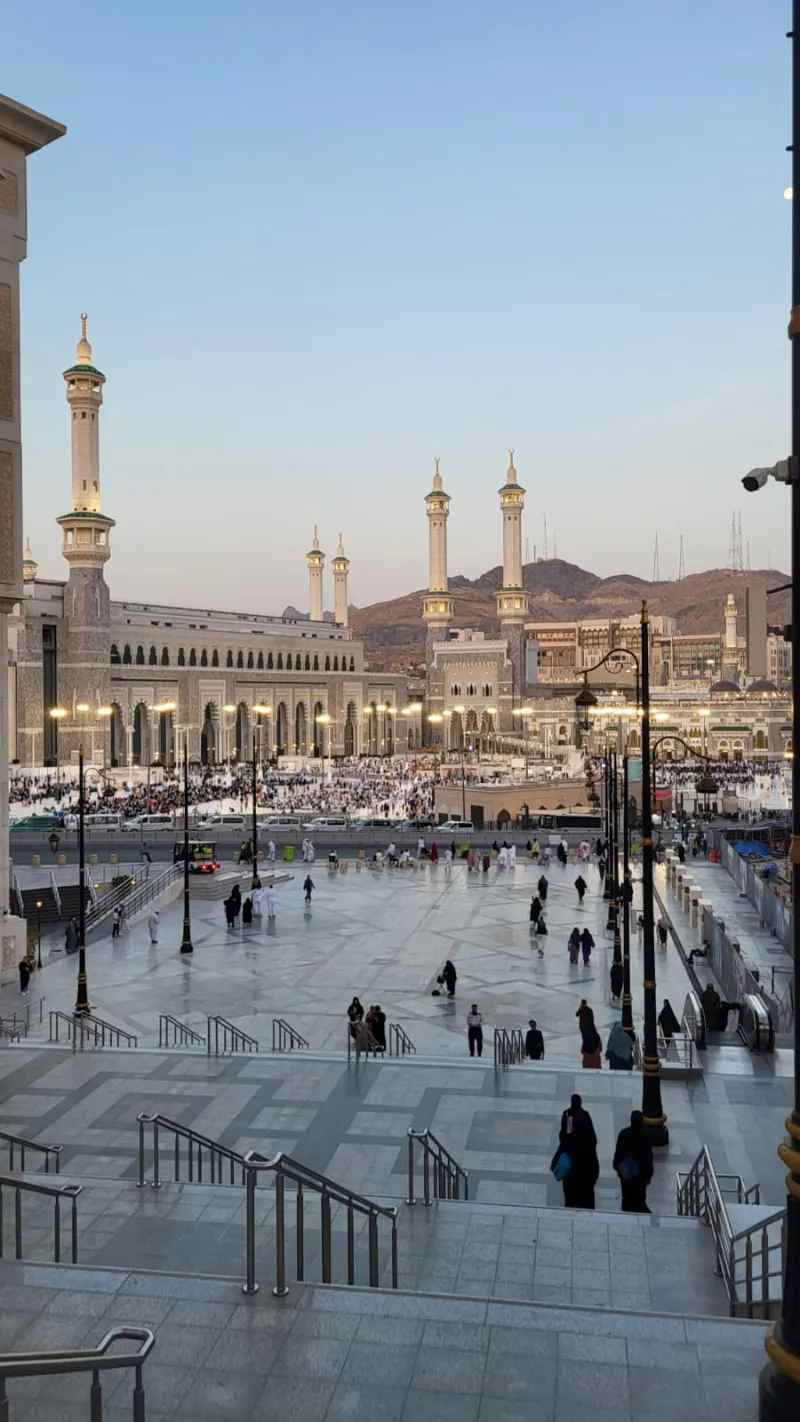 Zaitoon Travel