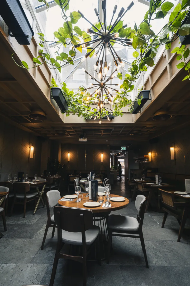 Masa Restaurant | Fulham